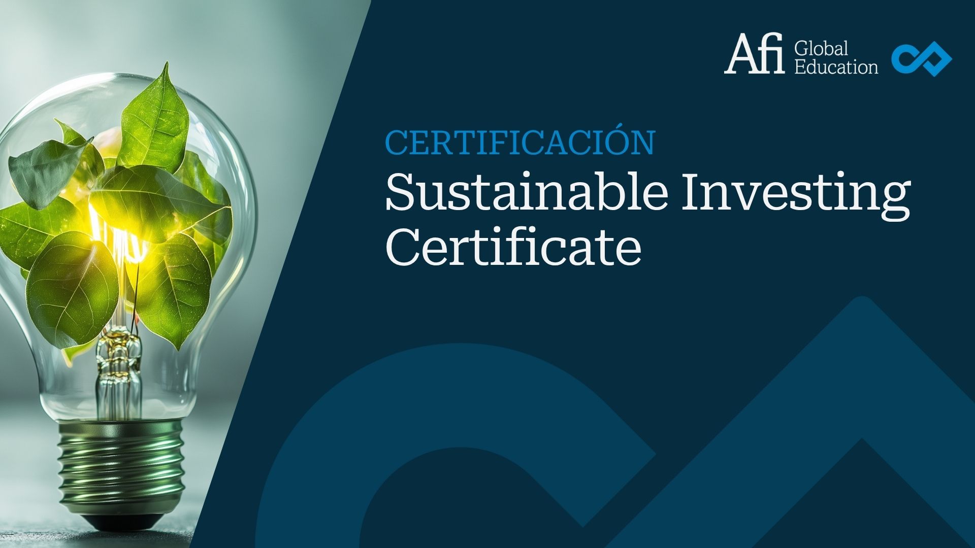 Sustainable Investing Certificate