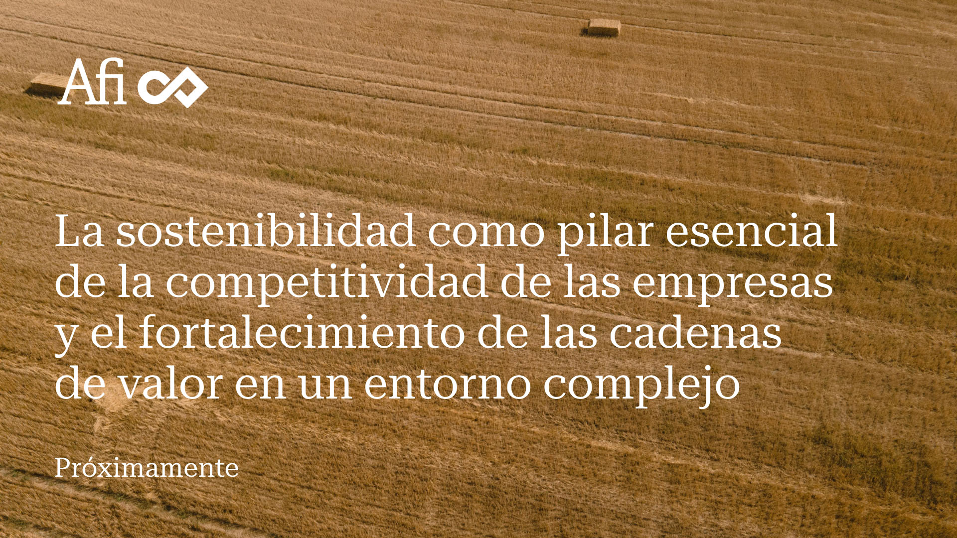 La sostenibilidad como pilar esencial de la competitividad de las empresas y el fortalecimiento de las cadenas de valor en un entorno complejo