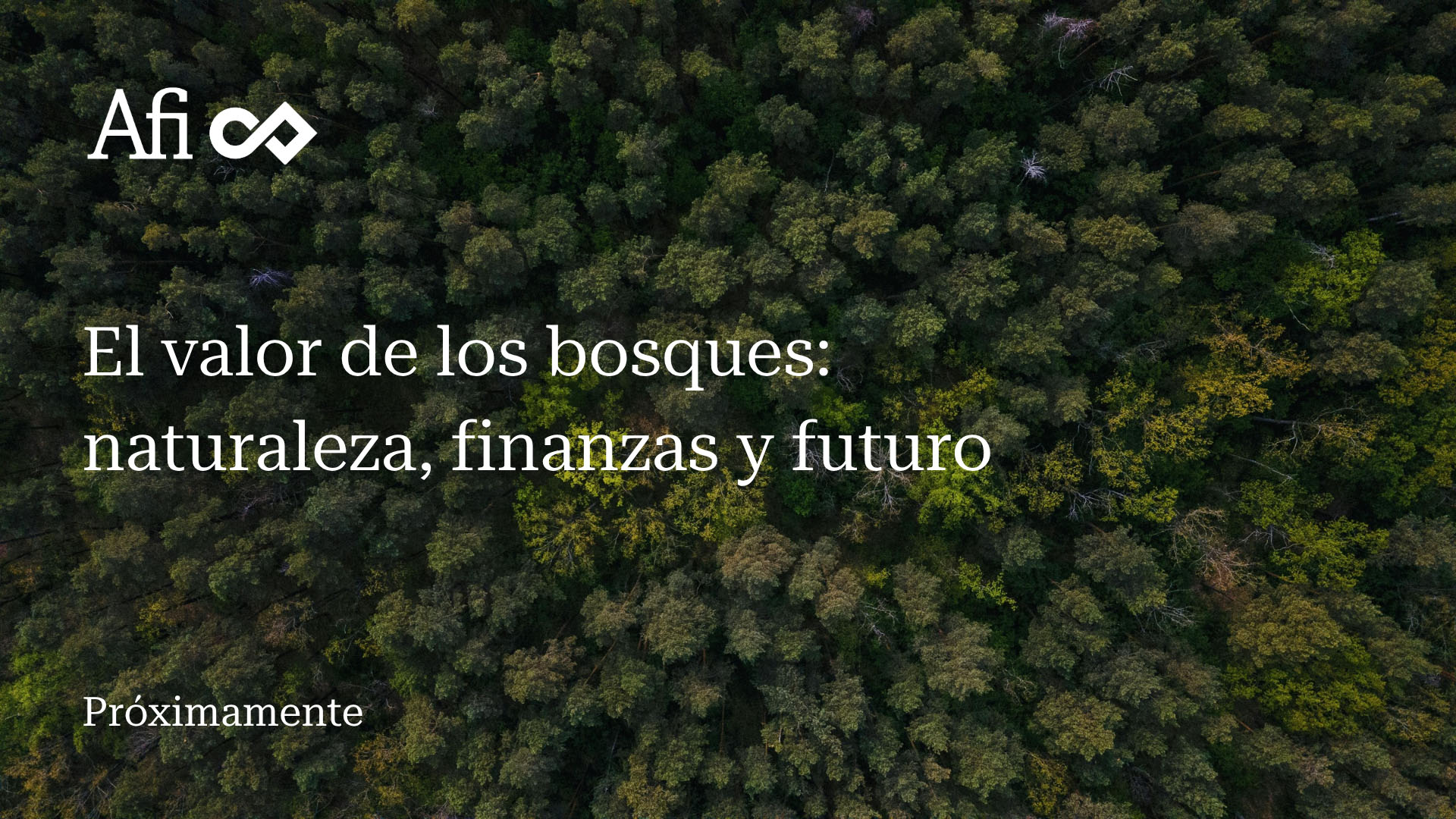 El valor de los bosques: naturalieza, finanzas y futuro