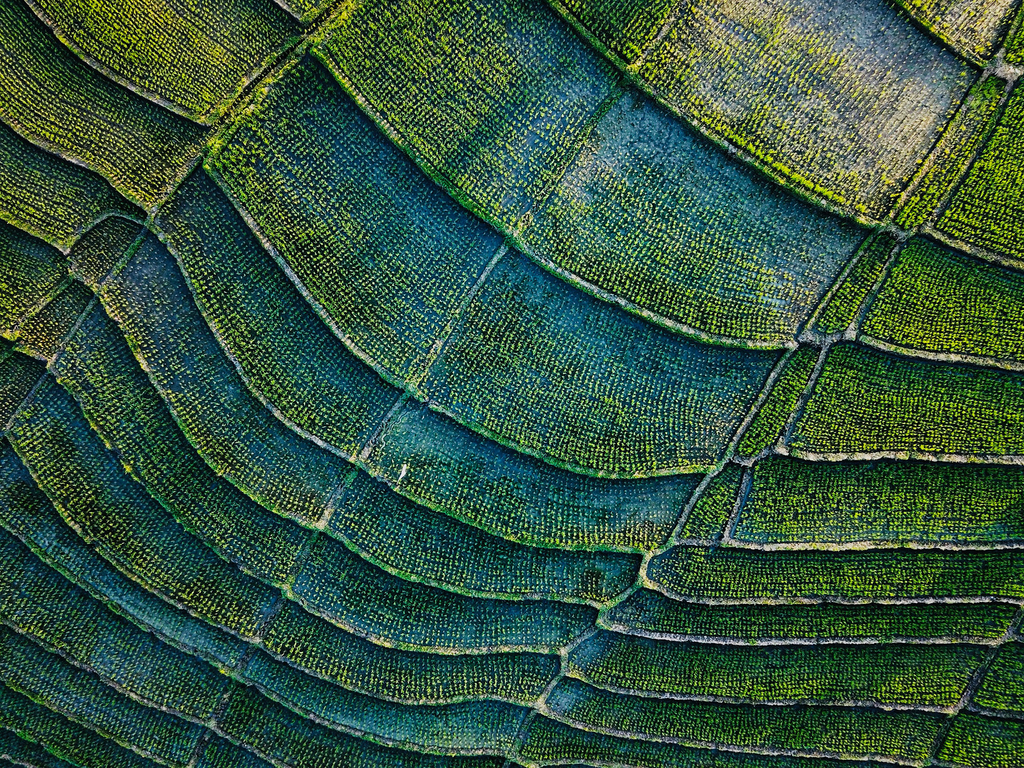 Publicaciones que inspiran la transición verde